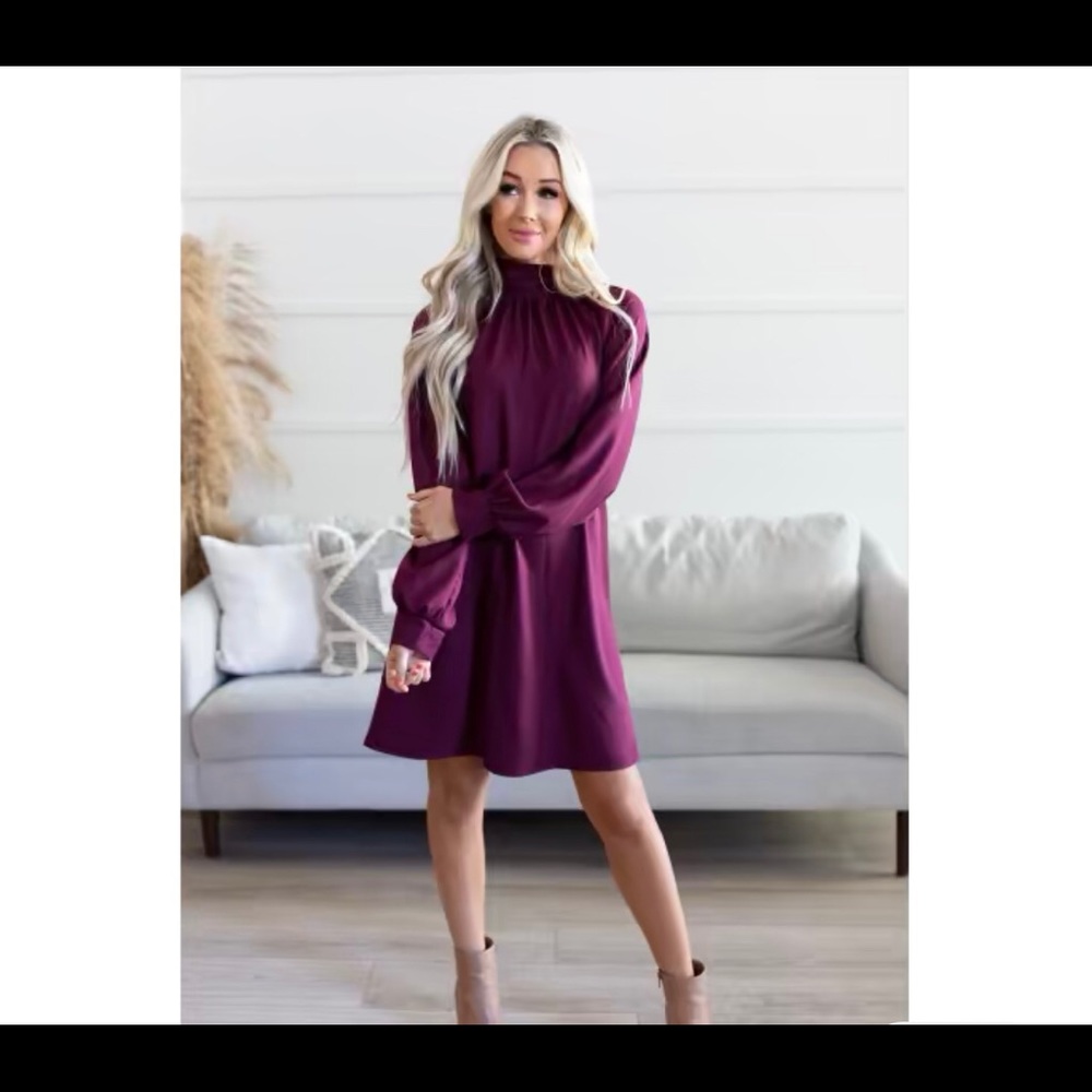 Adorable Wine Colored Maroon Dress